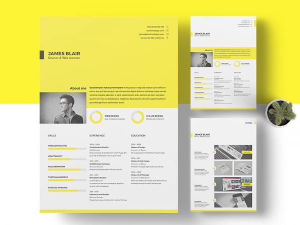 FREE Resume Template