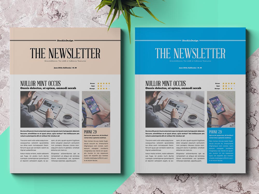 Business Newsletter Template Adobe InDesign Templates for Designers