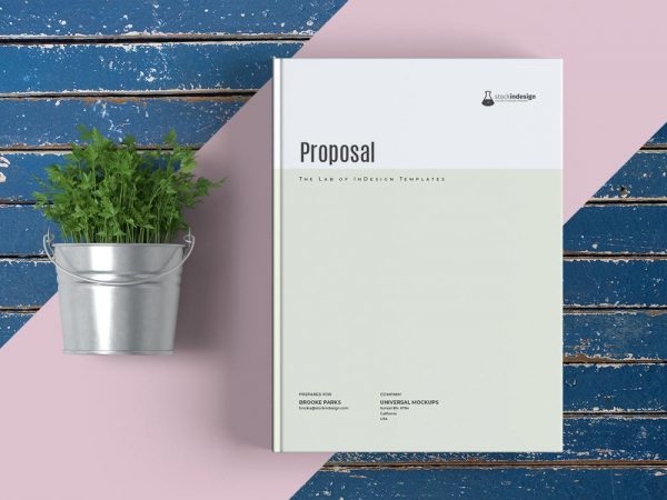 Simple Web Design Proposal