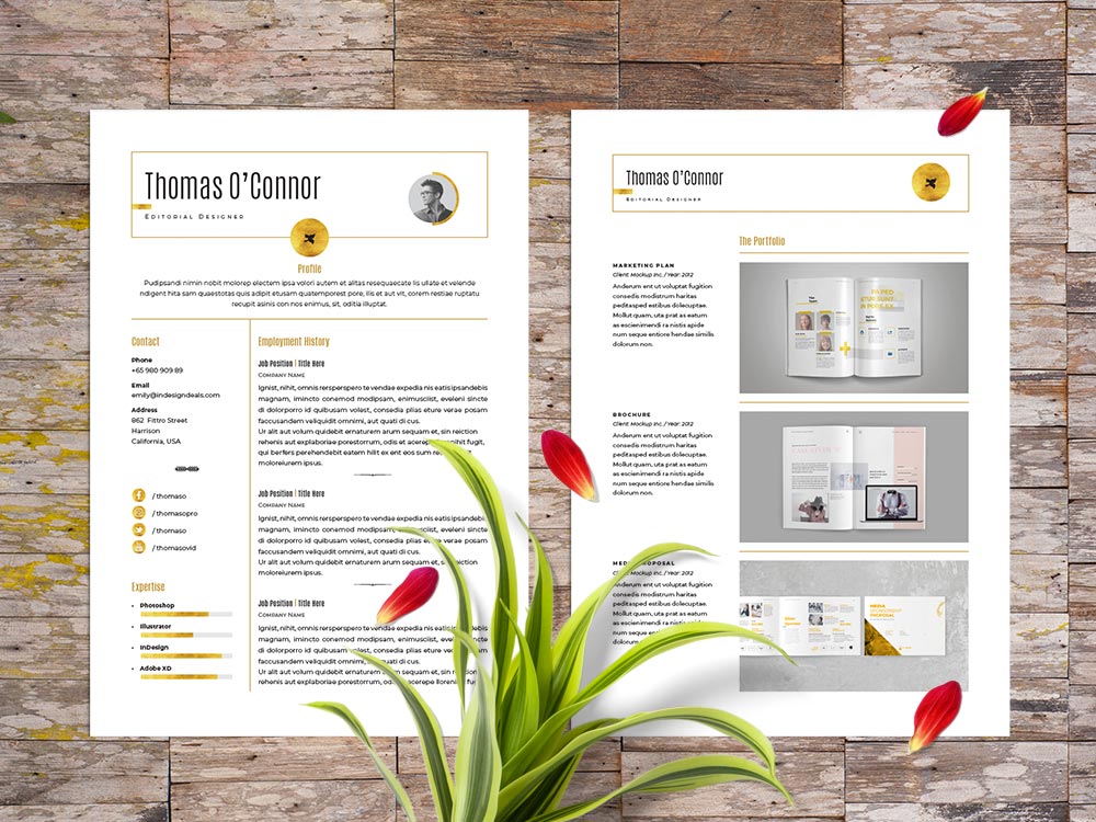 FREE Modern Resume Template