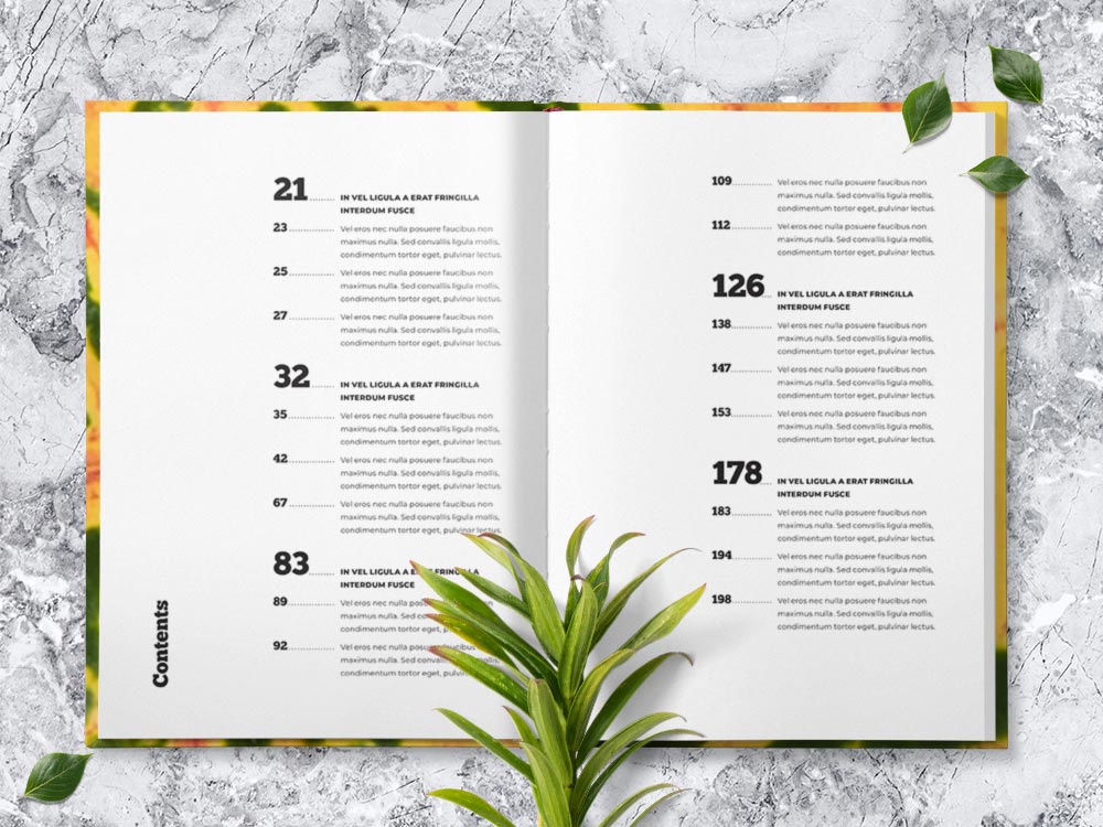 5 Table of Contents for Adobe InDesign StockInDesign