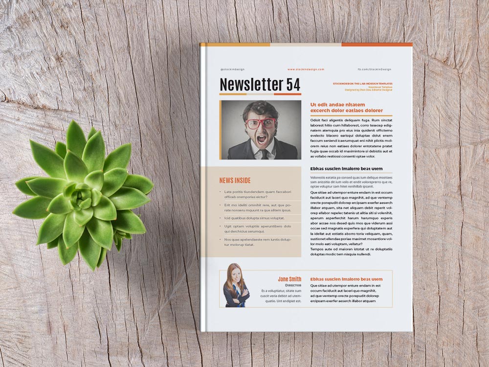 Free InDesign Newsletter Template StockInDesign