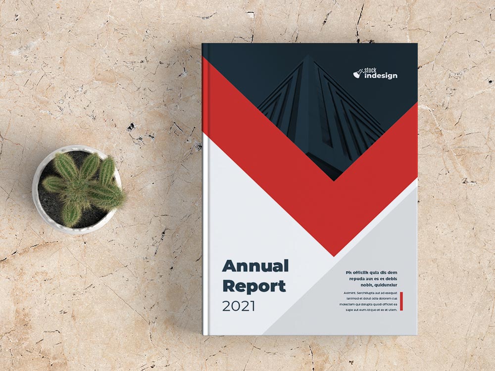 Annual Report Template for Adobe InDesign StockInDesign