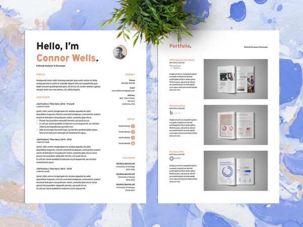 Free Resume Template for Designers in Adobe InDesign