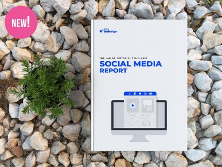 Social Media Report for Illustrator