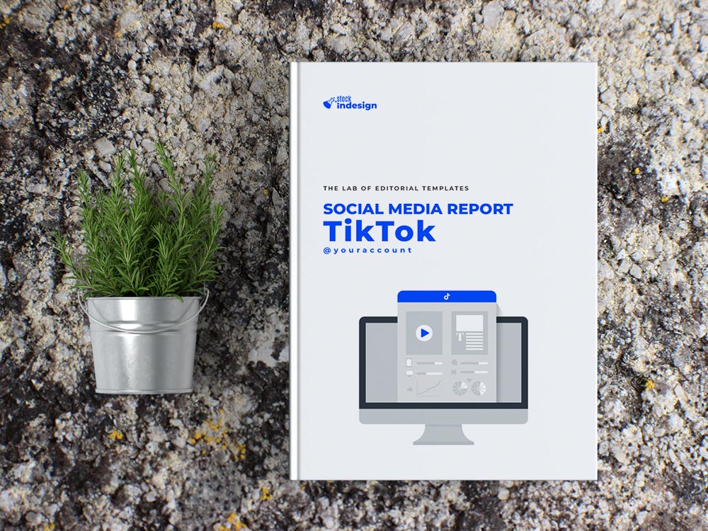 TikTok Analytics Template for Illustrator
